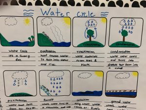 5th Gr Science on Water Cycle