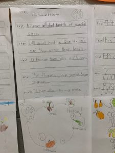 2nd grade writing for science