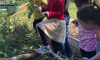 2nd Graders: Learning Comes to Life in our Hazelwood Garden
